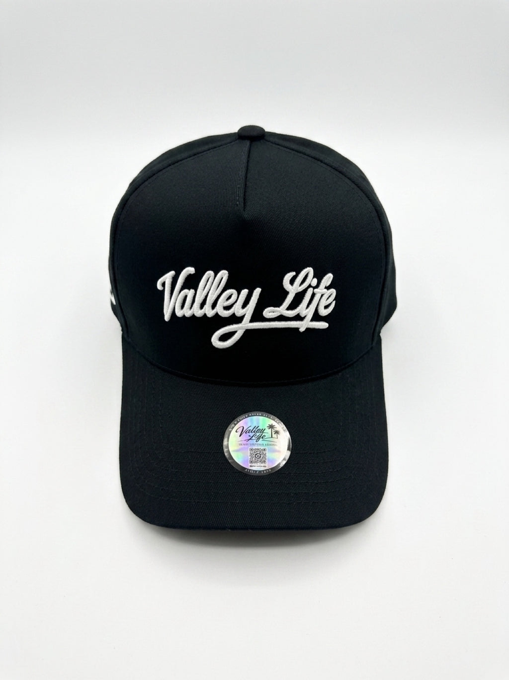 Valley Lifestyle “Gravity Hill” Suede Hat (strapback)
